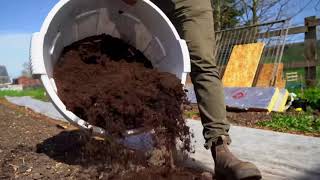 Interplanting lettuce \u0026 spring onions