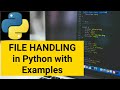 Python File IO Basics | How to read write append in Python File Handling Tutorial Absolute Beginners