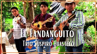 Trío Suspiro Huasteco - El Fandanguito