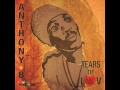 Anthony B -  Mau Mau Warrior   2015