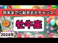 牡牛座【年末までに起きる大チャンス！】💕仕事や金運、恋愛や人間関係運におけるチャンス。さらに、年末までにしておくと運気アップすることは？👑幸せを呼び込む！開運リーディング🌟