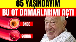 ✅ Bu, kan damarlarını temizlemek için EN İYİ BİTKİ! 🩸