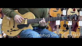 Rozeo Ladybug SM-TBC HB NAT     [LASTGUITAR]