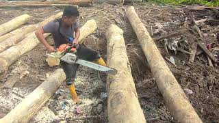 TUTORIAL POTONG KAYU BALAK DI MALAYSIA.KILANG PAPAN.SAWMILL MALAYSIA