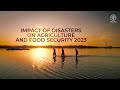 The Impact of Disasters on Agriculture and Food Security 2023