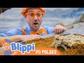 Chodźmy do zoo, cz. 2 | Blippi po polsku | Nauka i zabawa dla dzieci