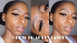 How To: Apply Lashes for Beginners | 25mm lashes