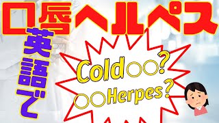 第186回 【口唇ヘルペス】よく使う!!「Cold 〇〇!?」 アメリカの診察室で医者がよく使う英会話＜アメリカ医師による医療英会話＞