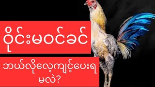 ဝိုင်းမဆင်းခင်ဘယ်လိုလေ့ကျင့်ပေးထားရမလဲ