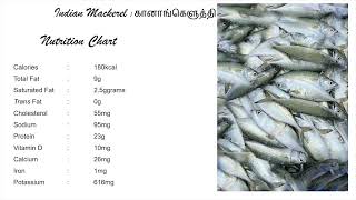 Indian Mackerel Fish Benefits/ அயில மீன் நன்மைகள் #கானாங்கெளுத்தி #Mackerel #Meenavargal_dailyfish