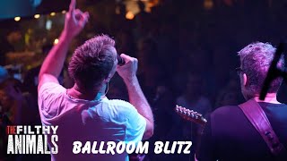 BALLROOM BLITZ -  Sweet cover by The Filthy Animals