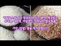 why 저 아밀로스 저 단백질 갓 도정한 유기농 쌀을 선택해야 하는가 제2 편