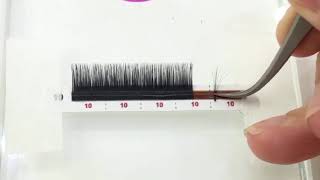 Mi nối Maleficent để nối mi Volume hoặc nối chập sợi - Kaiyi eyelash