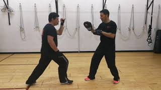 Jab and Front Kick combinations in Jeet Kune Do