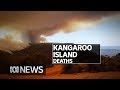 Kangaroo Island bushfires claim two lives as CFS battles to control blazes | ABC News