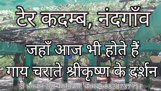 टेर कदम्ब नंदगाँव, जहाँ आज भी होते हैं गाय चराते श्रीकृष्ण के दर्शन Ter Kadamb Nandganv Bhagwan Das