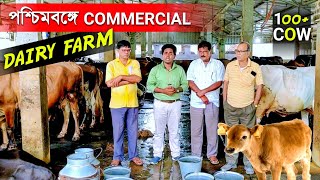 পশ্চিমবঙ্গে Commercial DAIRY FARM | 100+ Desi Cow | Dairy Farming in india | Cow Farm