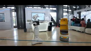 ዳንሰኛዋ #ሮቦት በሳይንስ ሙዝየም | The dancer mini-Robot