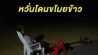 คนร้ายอาศัยช่วงชาวนาเผลอ ลอบขโมยข้าว-ข้าวเปลือก ล่าสุดต้องกางเต็นท์นอนเฝ้า