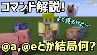 【解説】@a,@eとかよく見かけるけど結局なんなんだ？【マイクラコマンド】【java版】