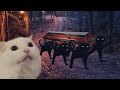 Astronomia - Coffin Dance Meme - Cat Cover #2