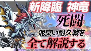 【FFBE】真降臨しんりゅう長々耐久戦クリア 耐え具合を解説攻略する動画