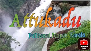 Munar Views, Attukadu waterfalls Pallivasal, #munnar #tamil #keralanews #kerala #malayalam #hindi