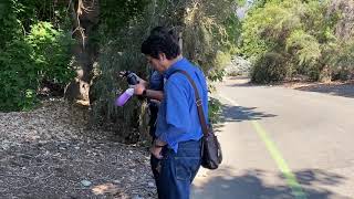 V 3 នាំគ្នាដើរលេងនៅកន្លែង Los Angeles County Arboretum and Botanic and Garden Acadia California