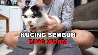 Perawatan SIPANDA Yang Sempat Kena RING WORM