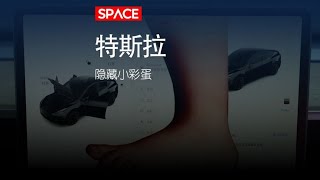 Tesla彩蛋大揭秘：驾驶的乐趣不止于加速！| 你的Tesla还可以这样玩