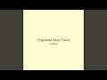 Fragments Silver Forest