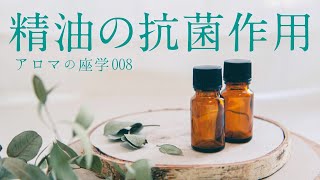 【アロマの座学】精油の抗菌作用