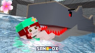 The shark emerged from the pool🦈Help me please..[minecraft] - [PLAIRE TV]