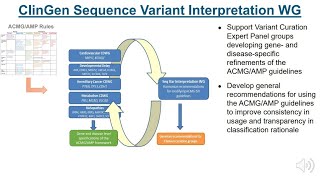 Q&A - Variant Classification using ACMG/AMP Guidelines (Steven Harrison)