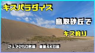 鳥取砂丘でキス釣り　【２人で250匹　4kg超】