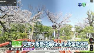 Google推櫻花街景 在家能賞櫻