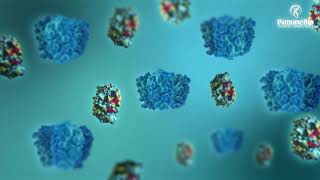 INB03 / XPro1595 Mechanism of Action