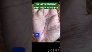 হাতে চন্দ্র পর্বত থেকে ভাগ্যরেখা উঠলে কোন কাজে জীবনে সফল হবেন?#hastrekha #palmistry #shorts