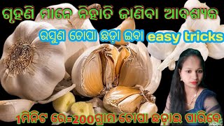 ରସୁଣ ଚୋପା ଛଡ଼ାଇବା easy tricks।। video 📸 ନିହାତି ଦେଖନ୍ତୁ।@shubhasai creation