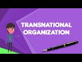 what is transnational organization explain transnational organization