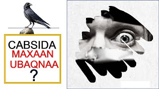 Cabsida | Maxaan ubaqnaa | sideen ula tacaamulnaa cabsida |