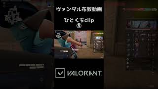 ヴァンダル布教動画　【VALORANT】　#shorts  #valorant