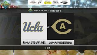 24-25 NECBL 分区赛 Sun Desert 小组赛 UCLA vs UC Davis