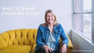 What is a Mini Coaching Cycle?