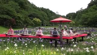 浜名湖花フェスタ２０１６　紫陽花の季節（Hamanako Flower Festa 2016）