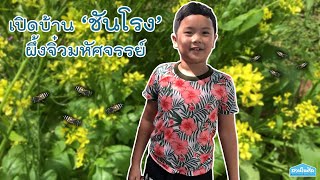 บ้านชันโรง | สวนในศีล Channel EP.6