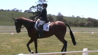 Goulburn 2015 Currabeha dressage CIC*