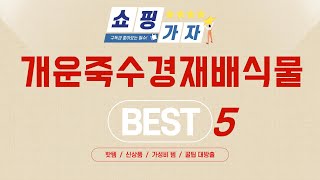 개운죽수경재배식물 인기 추천 리뷰 TOP5