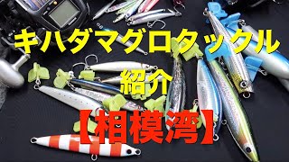 【相模湾】キハダマグロ・カツオ・シイラ　タックル紹介！！