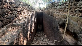 सड्यावरील कातळावर सापडली \